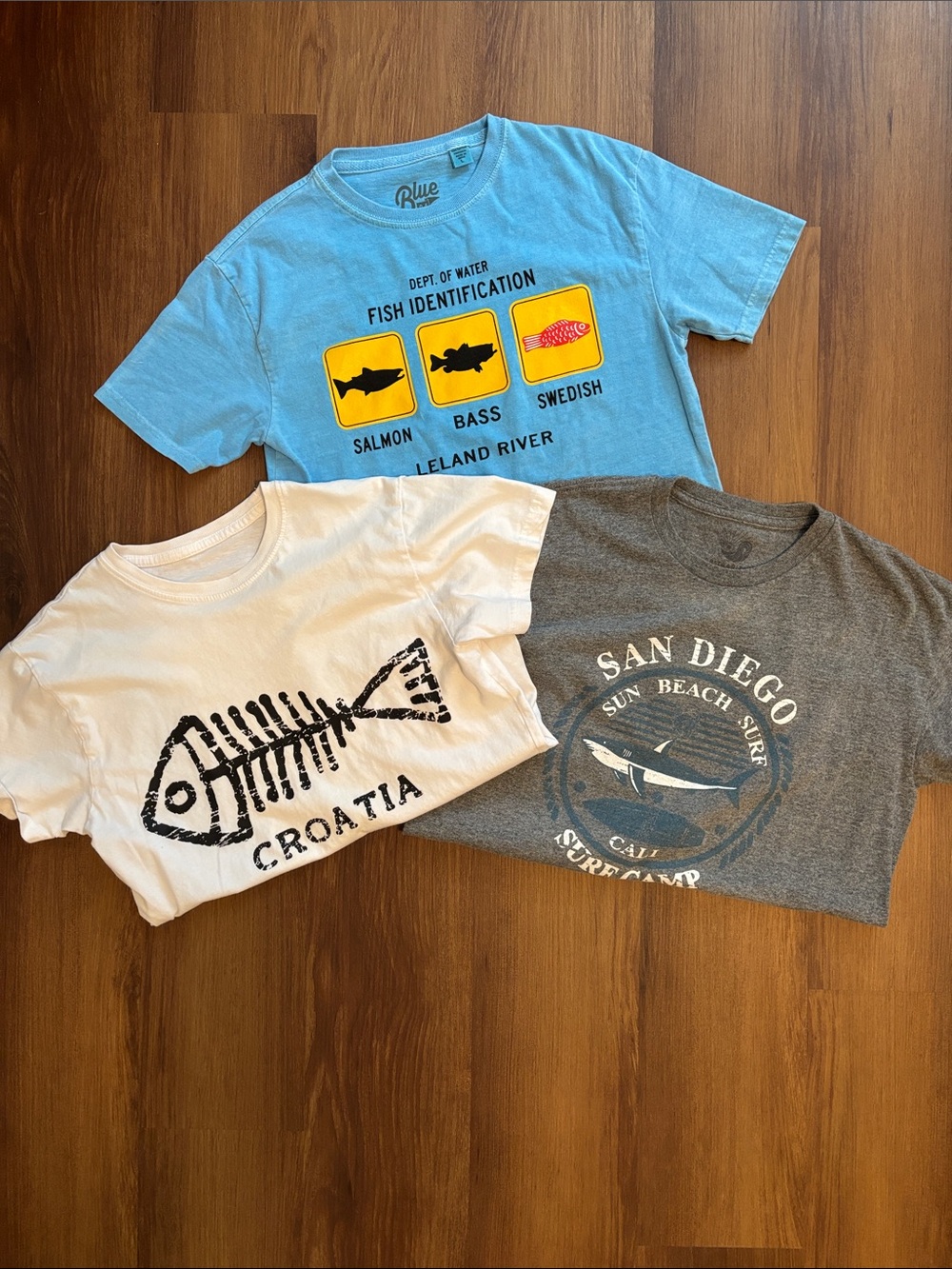 3 Kids T Shirts Michigan/San Diego/Croatia Fish Sz L